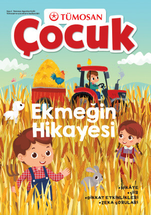 Ekmeğin Hikayesi