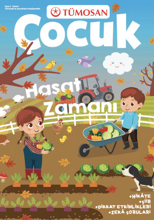 Hasat Zamanı